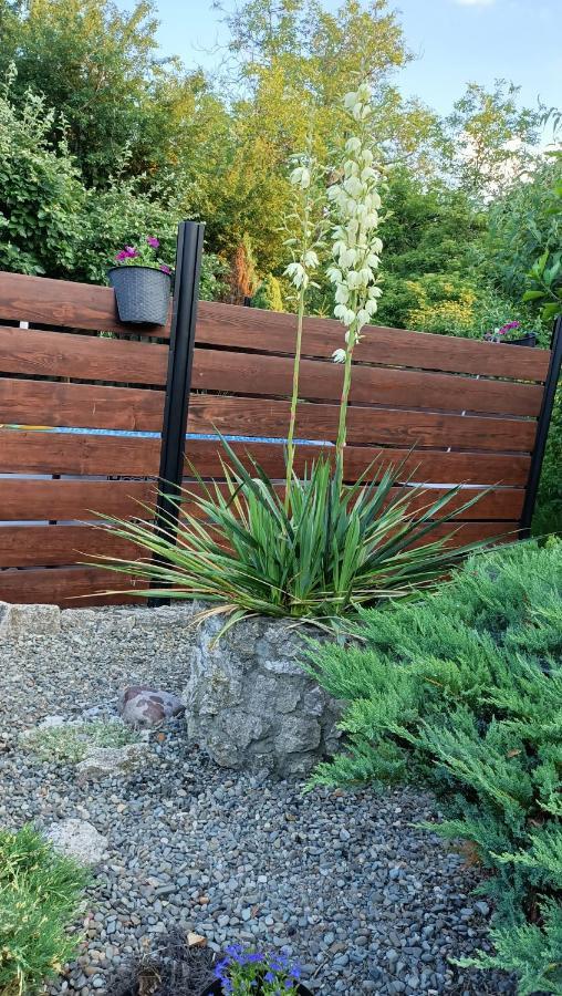 Apartament U Agaty Czernichow Krakow Zator エクステリア 写真