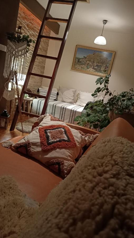 Apartament U Agaty Czernichow Krakow Zator エクステリア 写真