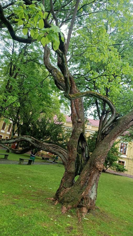 Apartament U Agaty Czernichow Krakow Zator エクステリア 写真