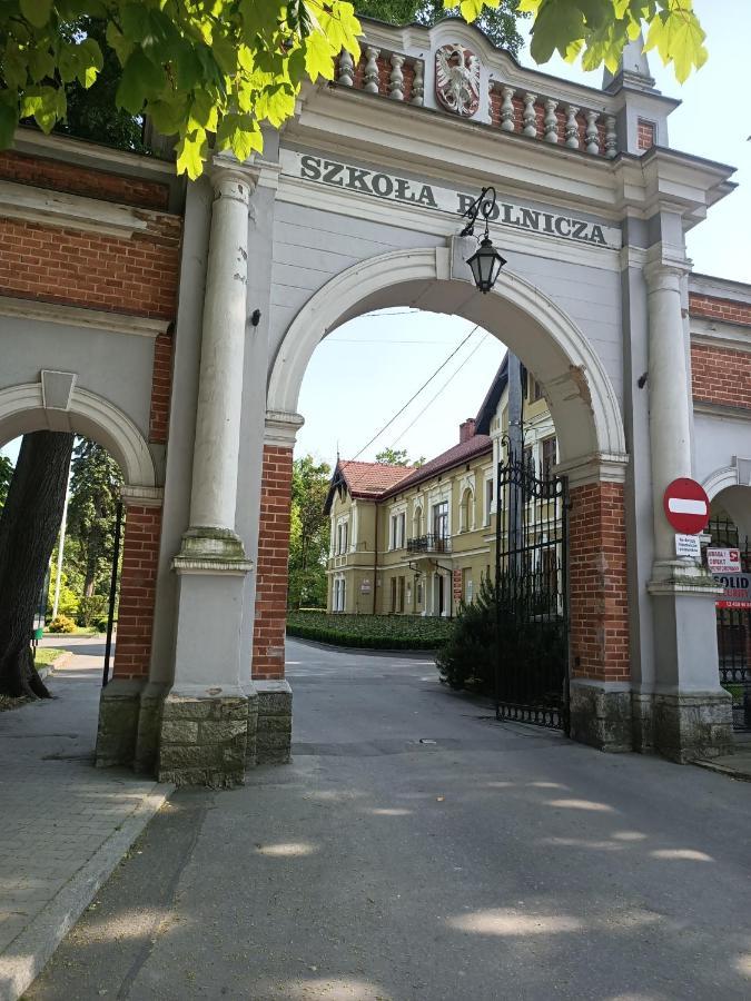 Apartament U Agaty Czernichow Krakow Zator エクステリア 写真
