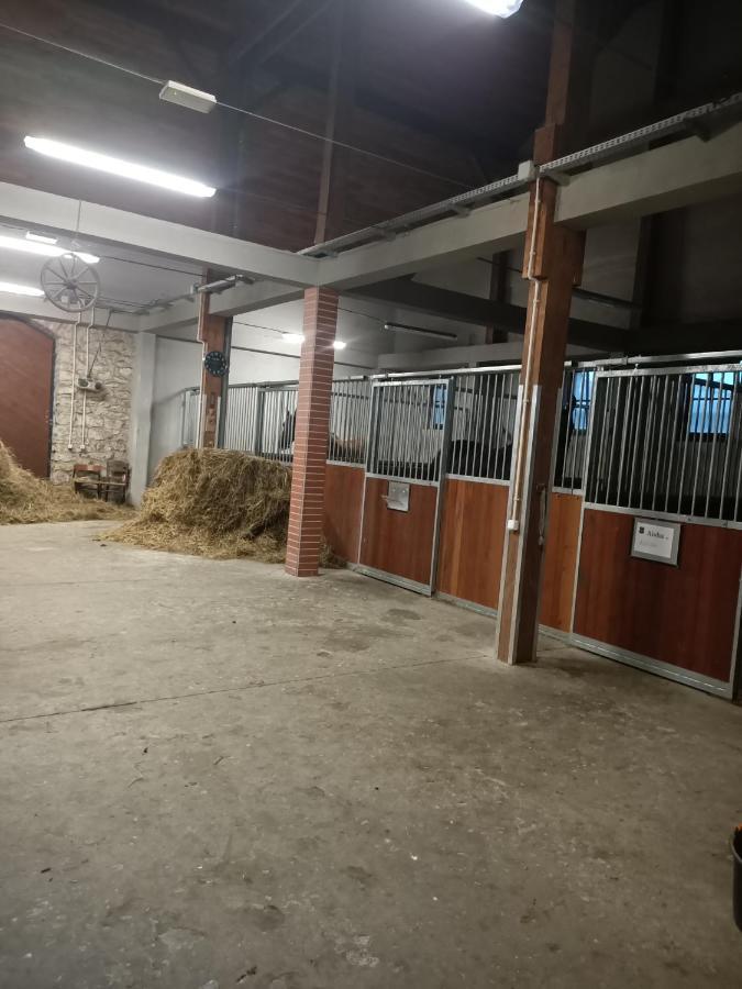 Apartament U Agaty Czernichow Krakow Zator エクステリア 写真